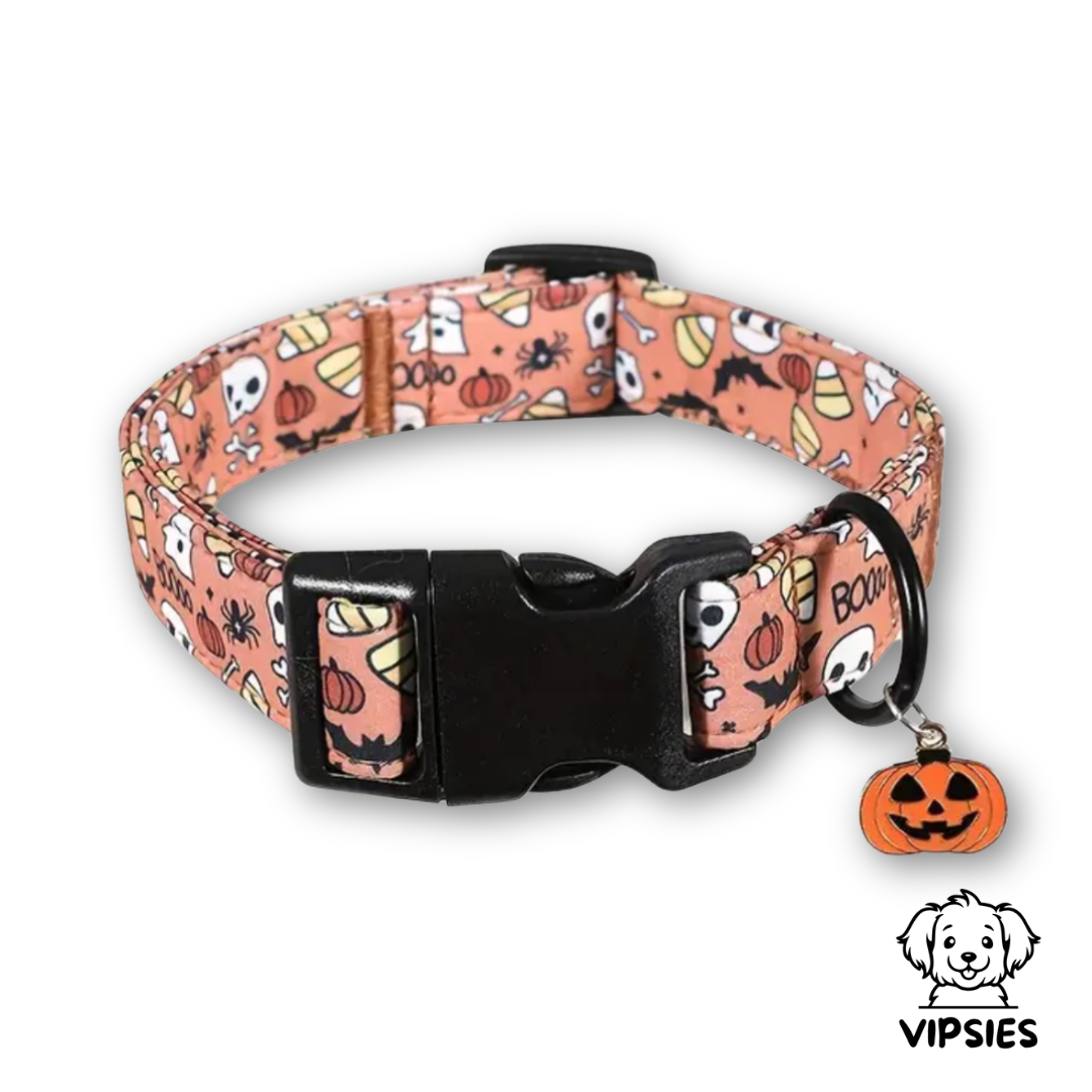 Halsband - Halloween Pompoen