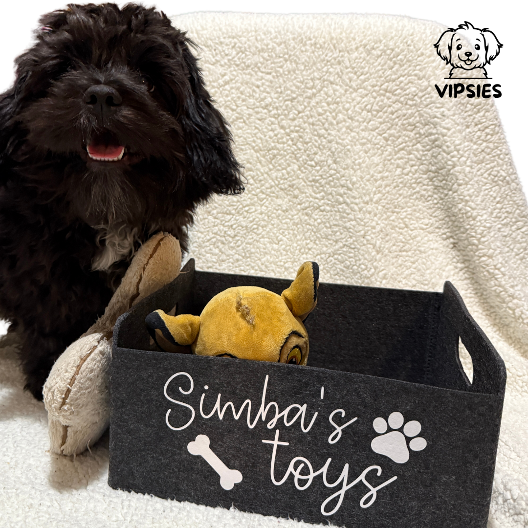 Custom Toys or Treats Baskets