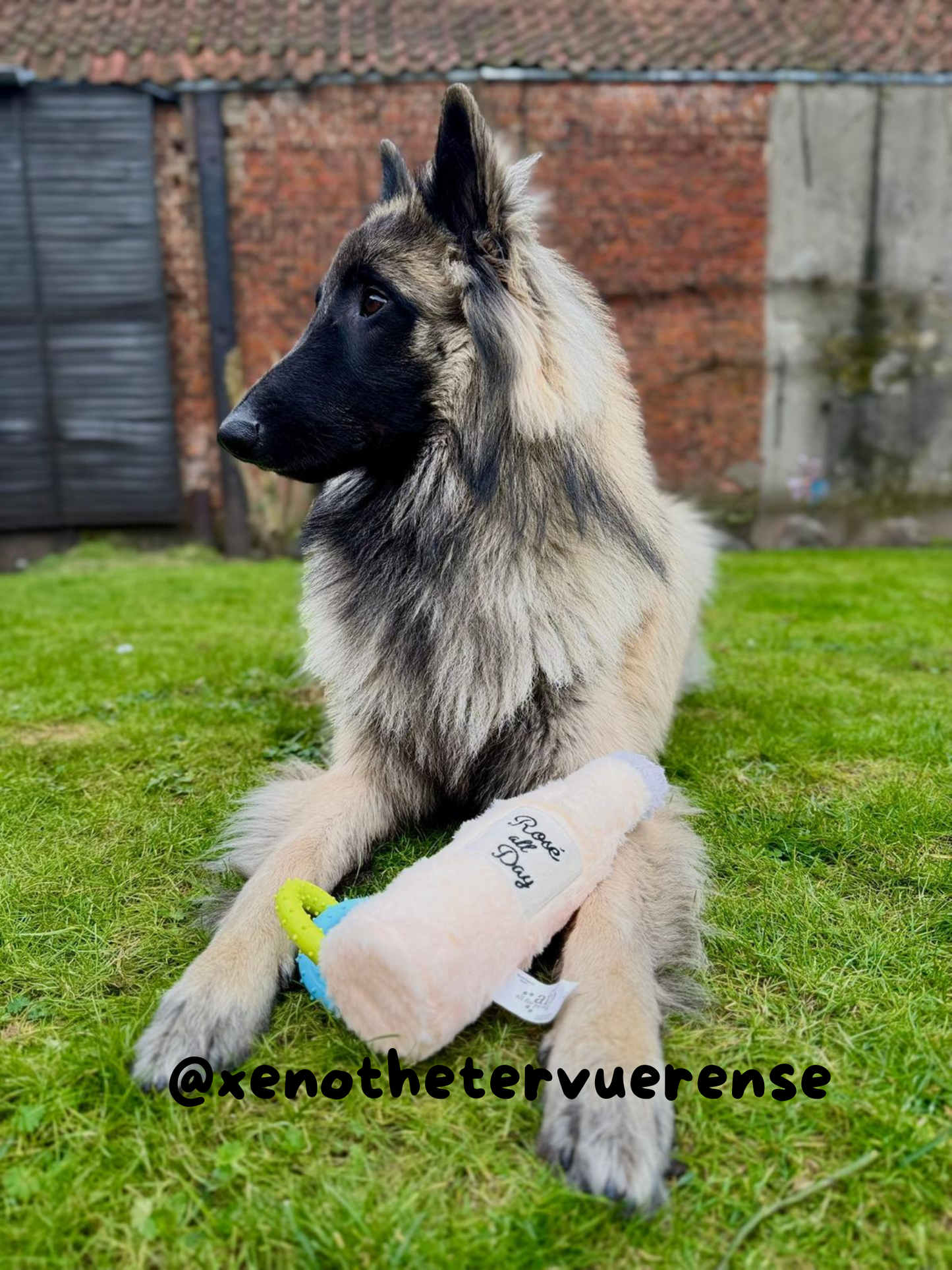 AFP Doggy Happy Hour knuffel