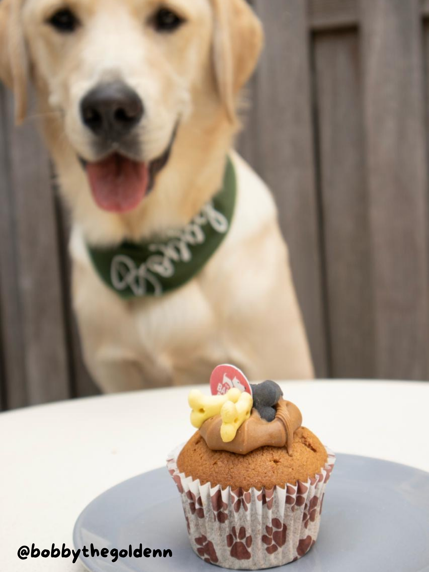 Vanilla Woofin Met Carob Glazuur