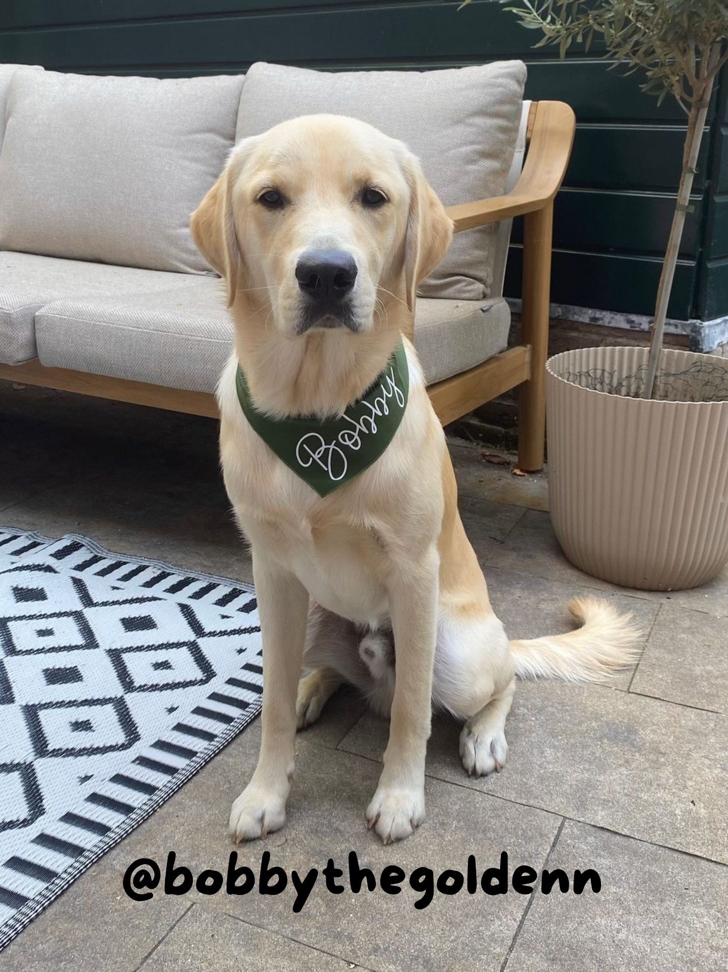 Custom Doggy Bandana