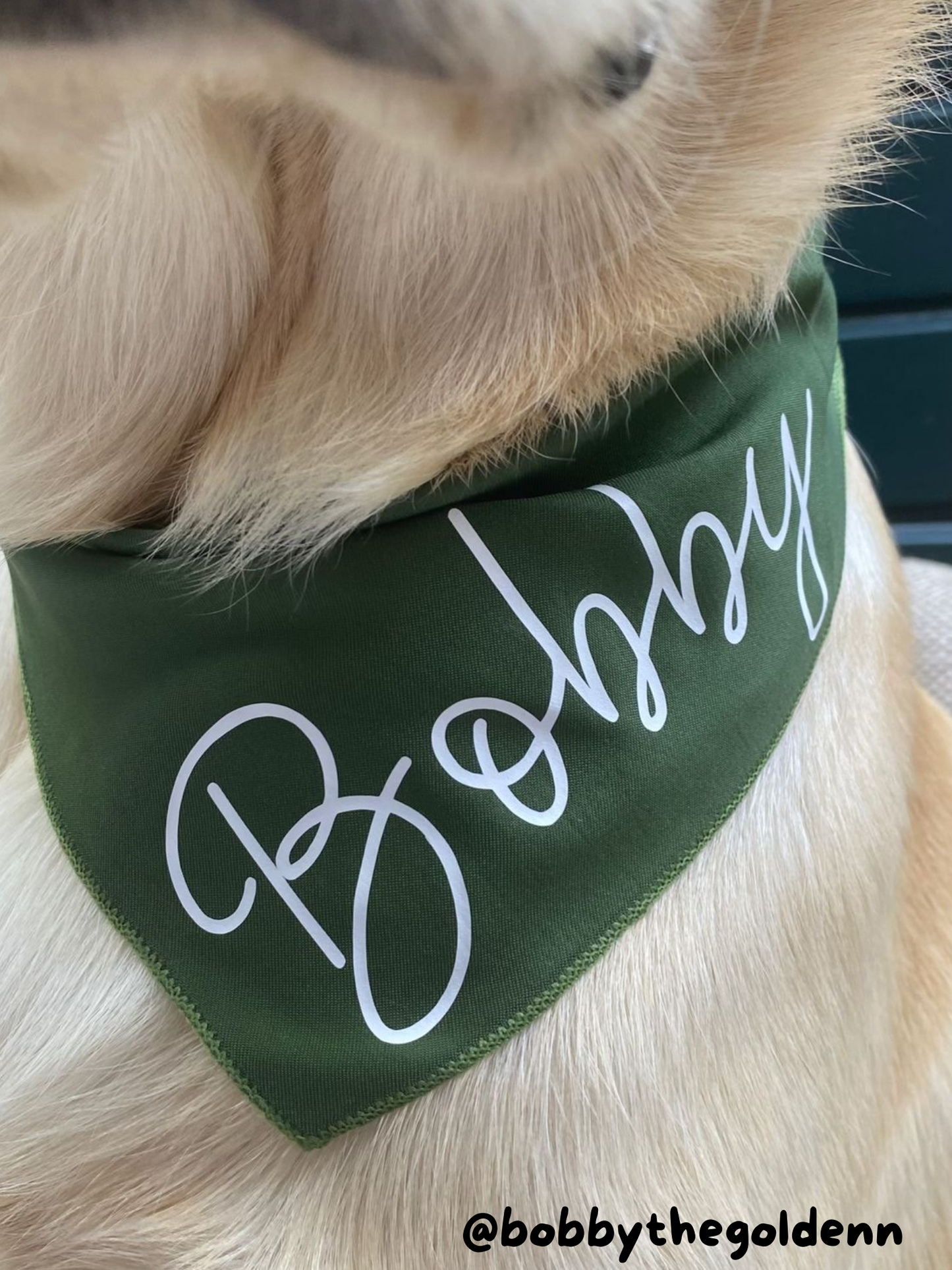Custom Doggy Bandana