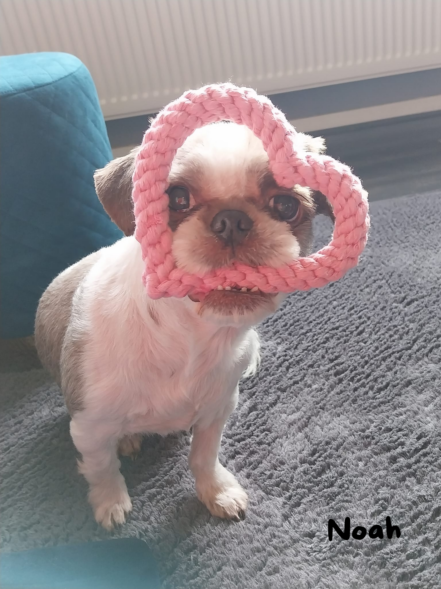 Touwhart roze - kauwspeelgoed