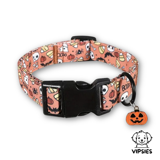 Halsband - Halloween Pompoen