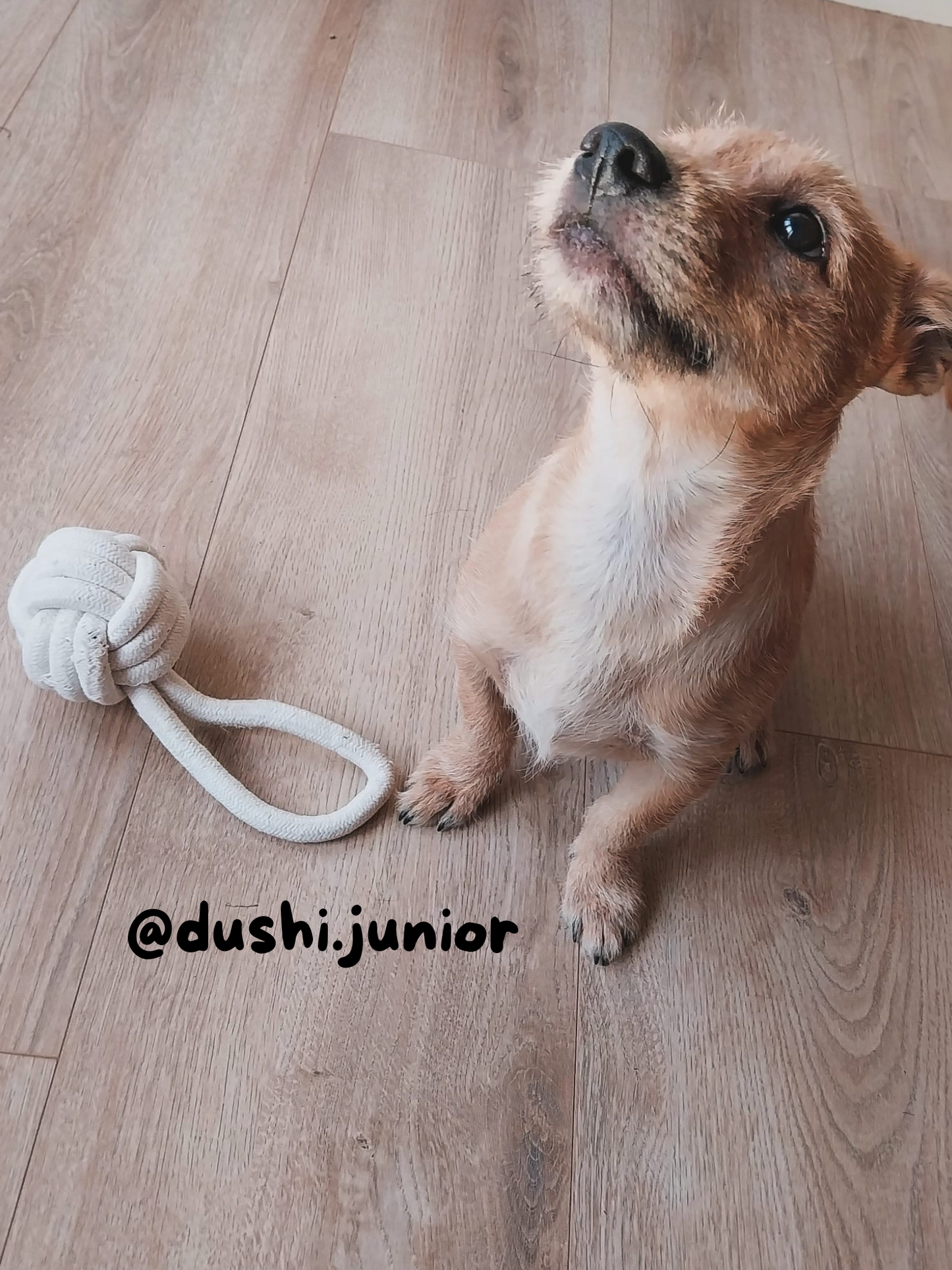 Pawise Premium Cotton Ball With Handle